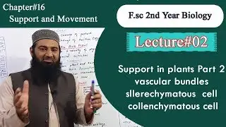 Biology Ch#16-Lecture#02 Support in plants part 2 (F.Sc 2nd Year)