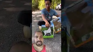 Rc zzebra l unboxing and testing l 😃😱😳 #zebra #toys #animals #rctoys #uniquetoys #toysworld #shorts