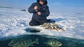 ЗИМНЯЯ РЫБАЛКА НА ОКУНЯ В ГЛУХОЗИМЬЕ. Ловля Окуня на Балансир. Зимняя рыбалка 2026.