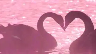 (rus/eng playlist) комфортные отношения. / comfort relationship.