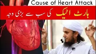 Causes of heart attack | Mufti tariq masood sahib