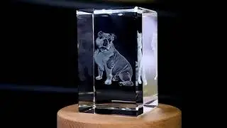 Unique 3D Bulldog Engraved Crystal Dog Sculpture - FSDG2