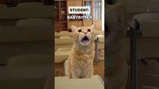 Kids Spilling Their Parents DRAMA | Cat Memes