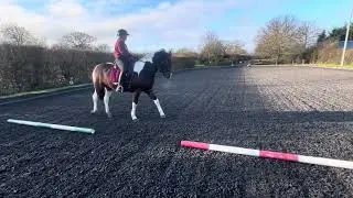 Earls Girls Christmas Special. Danielle Hubbard riding Garthfach Serrano in Novice 3c E riders