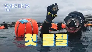 드디어 첫 바다 입수🌊 첫 물질에 뿔소라, 해삼 따고 회식까지 한 해녀학교의 하루