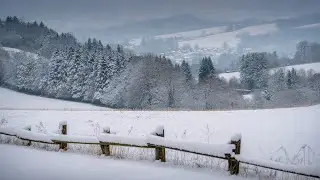 Первый снег в Швейцарии 2026 | Тихая прогулка с собакой ❄️