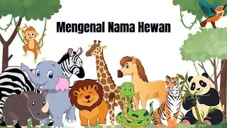 Belajar Mengenal Bermacam Nama dan Suara Hewan | Wild Animals for Kids | identification of animals