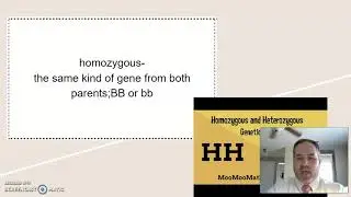 Genetics Vocabulary