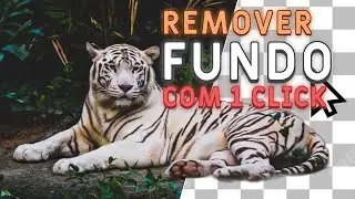 REMOVENDO FUNDO de FOTOS com 1 CLIQUE