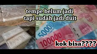 usaha tempe || tempe muda sangat diminati pelanggan