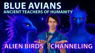 BLUE AVIANS ALIEN BIRDS NEW INFORMATION 5D TRANSITION CHANNELING NEWS BY FIDRYA YURI