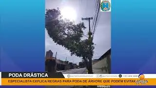 JORNAL DA MORADA 2a EDIÇÃO 09 01 2025
