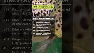 100 Nymph Fly Fishing Tips - Tips 81-84 #Shorts