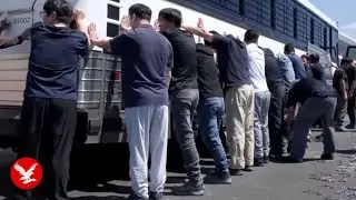 Hundreds of South Korean workers detained in Hyundai immigration raid