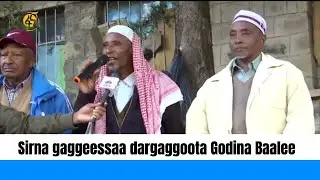 Sirna gaggeessaa dargaggoota Godina Baalee
