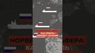 Раскрыта схема Кремля в Норвегии для обхода санкции. Как Кремль обходит запреты