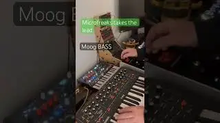 Intro with Moog BASS microfreak LEAD #music #synth #musicgenre #beats