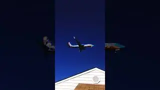 *FROZEN* Disney Westjet on finals #aviation #ywg #westjet #viral
