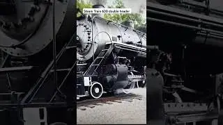 Steam Train #worldwide #railway #railroad #train #youtubeshorts #sound #india #ukindia