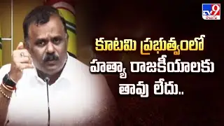 కూటమి ప్రభుత్వంలో హత్యా రాజకీయాలకు తావు లేదు.. : Anagani Satya Prasad - TV9