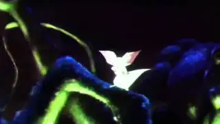Bartok - can only end in tears
