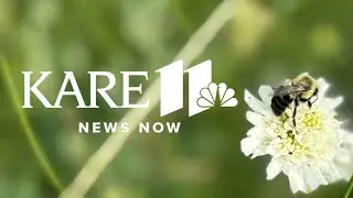 KARE 11 News Now | Morning Edition - June 26