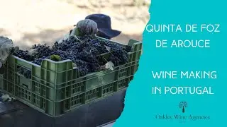 Portuguese Wine: The Making of Quinta de Foz de Arouce