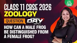 📑Question Of The Day❓Structural Organisation in Animals | Shruthi Maam | Xylem CBSE 11&12 Tamil