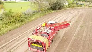 Arrachage de pommes de terre dans le Nord 🚜🥔 | Arracheuse 4 rangs, Fendt & Drone DJI Mini 4K