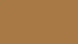 Light brown, the whole light brown, and nothing light brown (4 hours). Screensaver, background, etc.