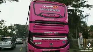 tunggal jaya transport black pink