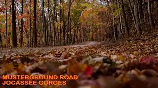 Musterground Road | Jocassee Gorges | OnX Offroad Trail Guide