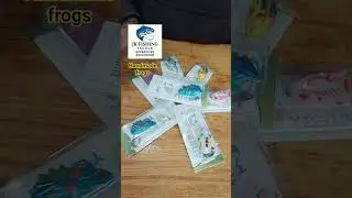 Handmade Frogs Available 6grams #hyderabad #fishing #fishingequipment #shortfeed #tolichowki #fypシ