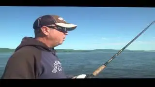 How do elite bass anglers get their start in tournament fishing?  Pro Talk Episode 6