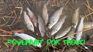Powerbait Trout Fishing (Giveaway!)
