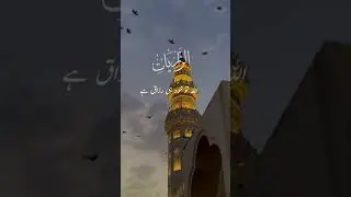 All ziyarat📕🕋#viralvideo #familyvolgs #islamicinformation🌹#hadessmubarak #duet #foryou #