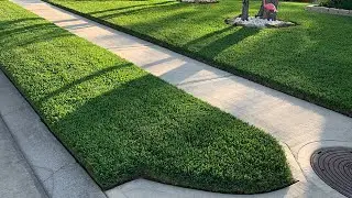 Applying Liquid Iron (MicroGreene) - Lush Green St Augustine.