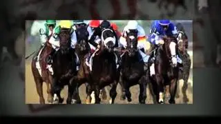 horse racing betting system | horse racing programs