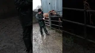 wet day TB testing