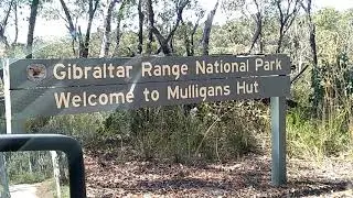 Mulligans Hut Yowie Bigfoot Sightings Reports Research
