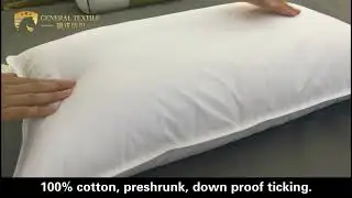 50%  white duck down pillow,1200g 1