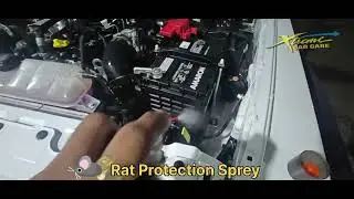 Engine Rat Protection Sprey✌️✌️#viral #automobile #ratmash #care #protection 