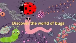 Fun and Interesting Facts About Bugs You Didn't Know! 🐞🕷️