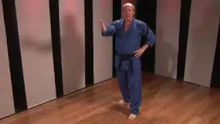 How to Do a Front Thrust Kick