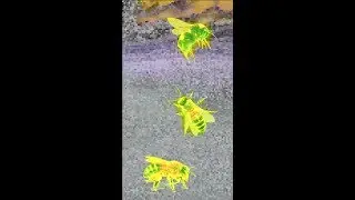Matthew James Hemmer - BUZZ [VERTICALYRICVIDEO]