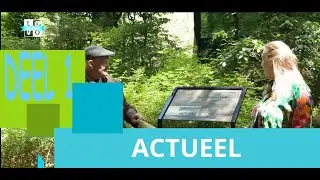 Jaaroverzicht 2025 - deel I