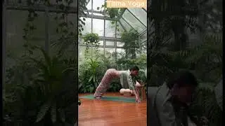 Vibrant Greens Flow: Gentle Backbends and Embodied Ease