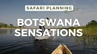 SAFARI PLANNING | Episode 2: Botswana Sensations with Rachel Marshall