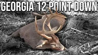 Dad's BIG 12 Point Buck, RAW EMOTION!! | 2024 Georgia Deer Season