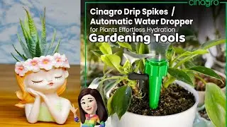 Gardening Tools, planting accessories, amazon finds for garden, Best Deals product review video